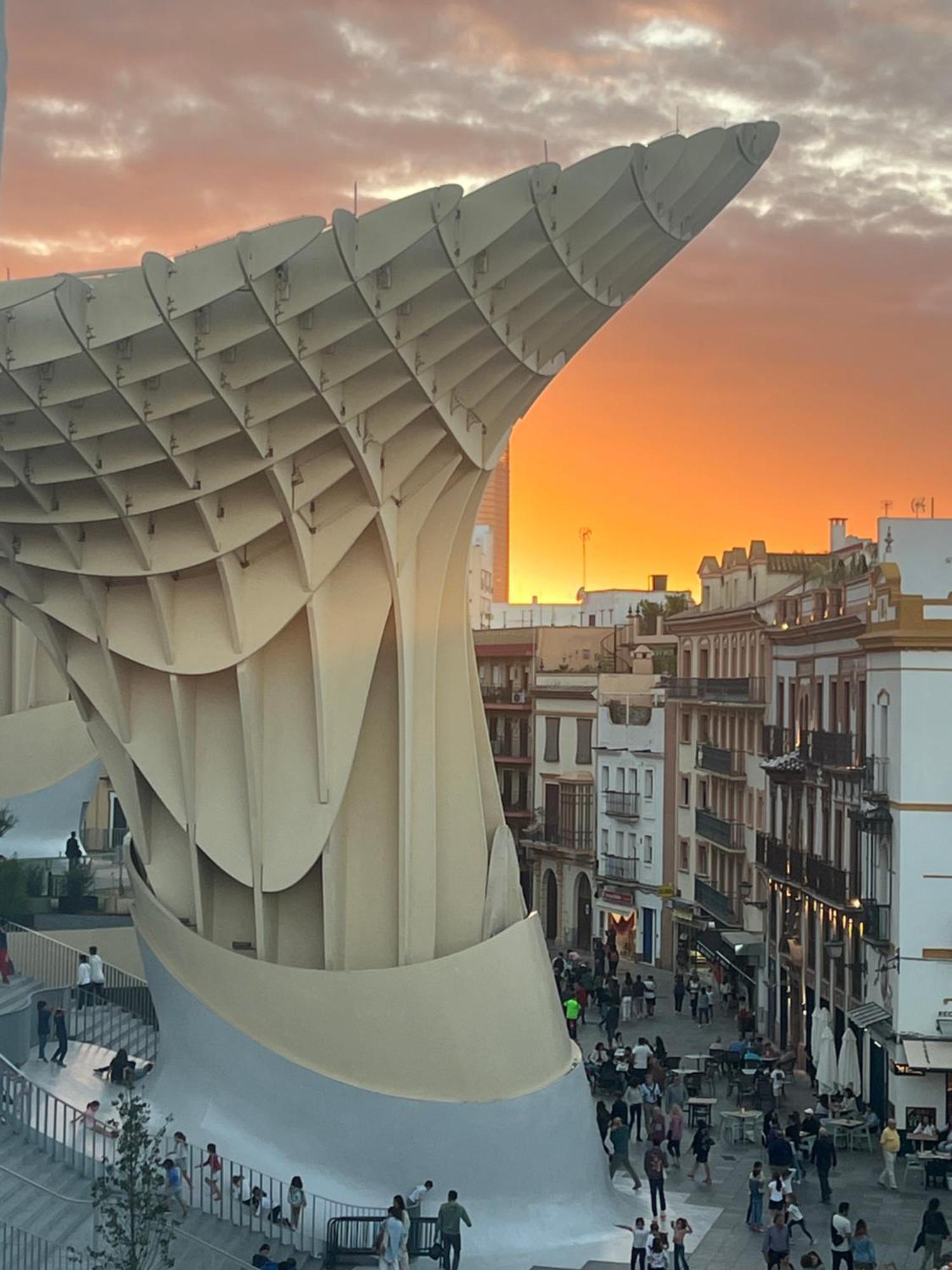 Calma Places - San Eloy 20 — Photos 3